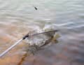 Useful: the landing net can be used to bring the wriggling catch safely on board.