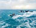 Selection: In addition to four suitably painted jet skis and the Ski Nautique GS20, a RIB from Xtenders and a Wajer 38S are available for excursions.