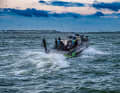 An early start is essential, because on extensive waters such as the Volkerak there is often a good stretch of water between the harbour and the hotspot and ...