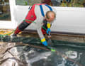Step 3: Once the algae and spak are no longer visible, the cloth must be rinsed thoroughly under running water.