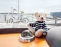 Erinnerungen reisen mit: ein Teddy neben dem Kompass und ...