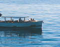 The Samar 50