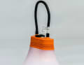 Sunbell
	Bright
	79 €