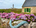 Rustic atmosphere: hydrangeas in walled gardens add colour to the landscape