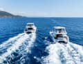 BOOTE Cat Experience