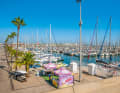 The Port Olímpic de Barcelona offers a lively environment