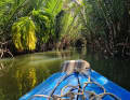 Bootstour in den Magrovenwäldern des Mekong-Deltas