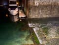 The sill at the entrance to the Victoria Marina basin at low tide.