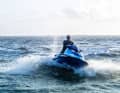 Der Allrounder unter den Waverunnern.
