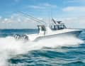 Extremely slim: the length-to-width ratio of the catamaran is 1 to 3.8