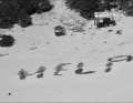 A message laid out in the sand with palm fronds led to the rescue of the shipwrecked people