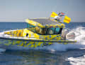 The SeaHelp team currently consists of 233 staff members.