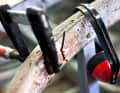Pictures of the Riva Tritone taken during the restoration.