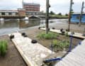 Lack of rain: the harbour in Dömitz is closed due to the low water level.