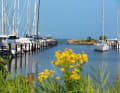 Moorings with pontoons and stern dolphins are a familiar sight on the Baltic coast, even here in Gelting-Mole. Free berths can usually be recognised by a green sign.