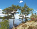 Dalsland Canal: Lake Stora Lee.