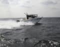 Quicksilver Pilothouse 905