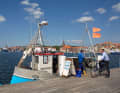 Fishermen in the city harbour of Sønderborg