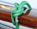 The submersible pumps are held in place by ropes