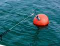 Depending on the area, additional equipment can provide more safety: for example, a buoy hook ...