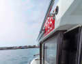 The pull-out tubular frame on the cabin roof is the bimini holder