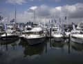 Più di 160 espositori presenteranno le loro innovazioni all'Ancora Yacht Festival 2025.