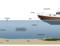 Complete anchor harness | Drawing: Christian Tiedt