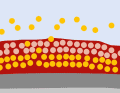 Hard antifouling: The biocides are bound in a resin system. It is mechanically very resilient and is suitable for trailer boats and in tidal areas. Over the course of the season, the active substances wash out and the protection slowly wears off. The empty resin matrix remains on the hull and must be sanded off in winter