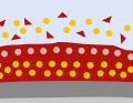 Self-polishing or self-eroding: A water-soluble resin system is mixed with biocides. The colour and active ingredients break down evenly during sailing. If the yacht is moved regularly, there is always a fresh layer of active ingredient on the surface. In principle, the protection works as long as the paint is still present. Can be repainted without sanding