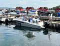 There are ten boats available to try out this weekend.
