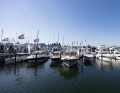 160 boats and yachts could be viewed at the jetties