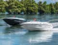 Viper 243 mit Volvo Penta und Mercury