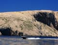 Around the island of Pag in a chartered cabin cruiser.