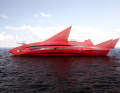 Red Shark