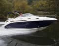 Sea Ray 255