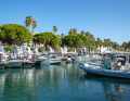 Auch RIBs lagen im Port Canto