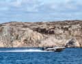 Die Husky R5 in Fahrt vor der schwedischen Küste. Mit 100 PS am Heck erreicht das 5,46 Meter lange Alu-Boot 36,5 Knoten.