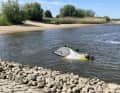 Before being secured, the boat had to be turned with the help of buoyancy bodies.