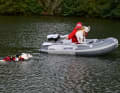 Messe-See: DLRG water rescue demonstration with dogs
