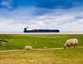 La photo a été prise sur une digue de l'Elbe, près de Cuxhaven.
