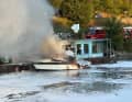 Den Feuerwehrmitgliedern gelang es rasch, die Flammen an der Bootstankstelle zu löschen.