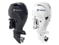 The outboard motor is available in both colours.