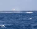 Part of the capsized ‘Sea Story’ is protruding from the water, whilst a helicopter flies over the scene of the accident. Five people survived for 34 hours in an air pocket inside the wreck.
