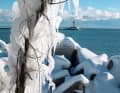 Ice art in front of the pier lights of Sassnitz on Rügen