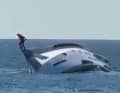 The owner, captain and two crew members jumped from the ship, all of whom were rescued.