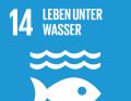 ... die sich für das 14. Nachhaltigkeitsziel der Vereinten Nationen einsetzen