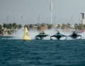 Three Racebirds in one picture, if that doesn't look fast...