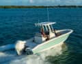Boston Whaler 250 Dauntless (Länge: 7,32 m, Breite: 2,59 m, Gewicht (ohne Motor): 1.538 kg, Motor: 200-400 PS CE-Kategorie: C)
