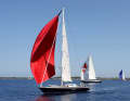 Dahm International Regatta