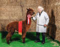 Yacht designer hobbies, part two
: Beautiful spirits, alpaca breeders (Ken Freivokh with Mystic Star) and graffiti artists